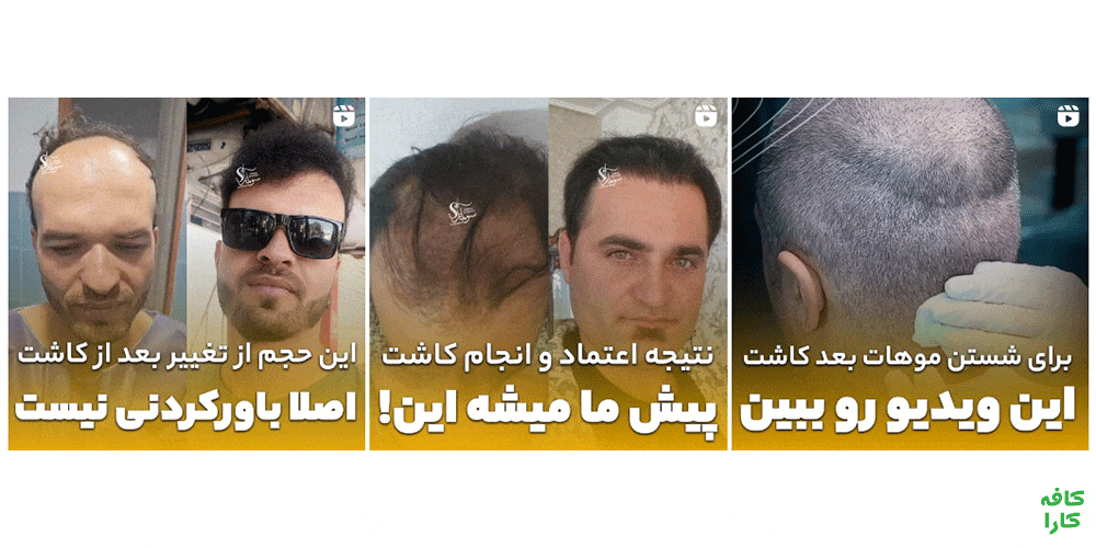 نمونه کارها